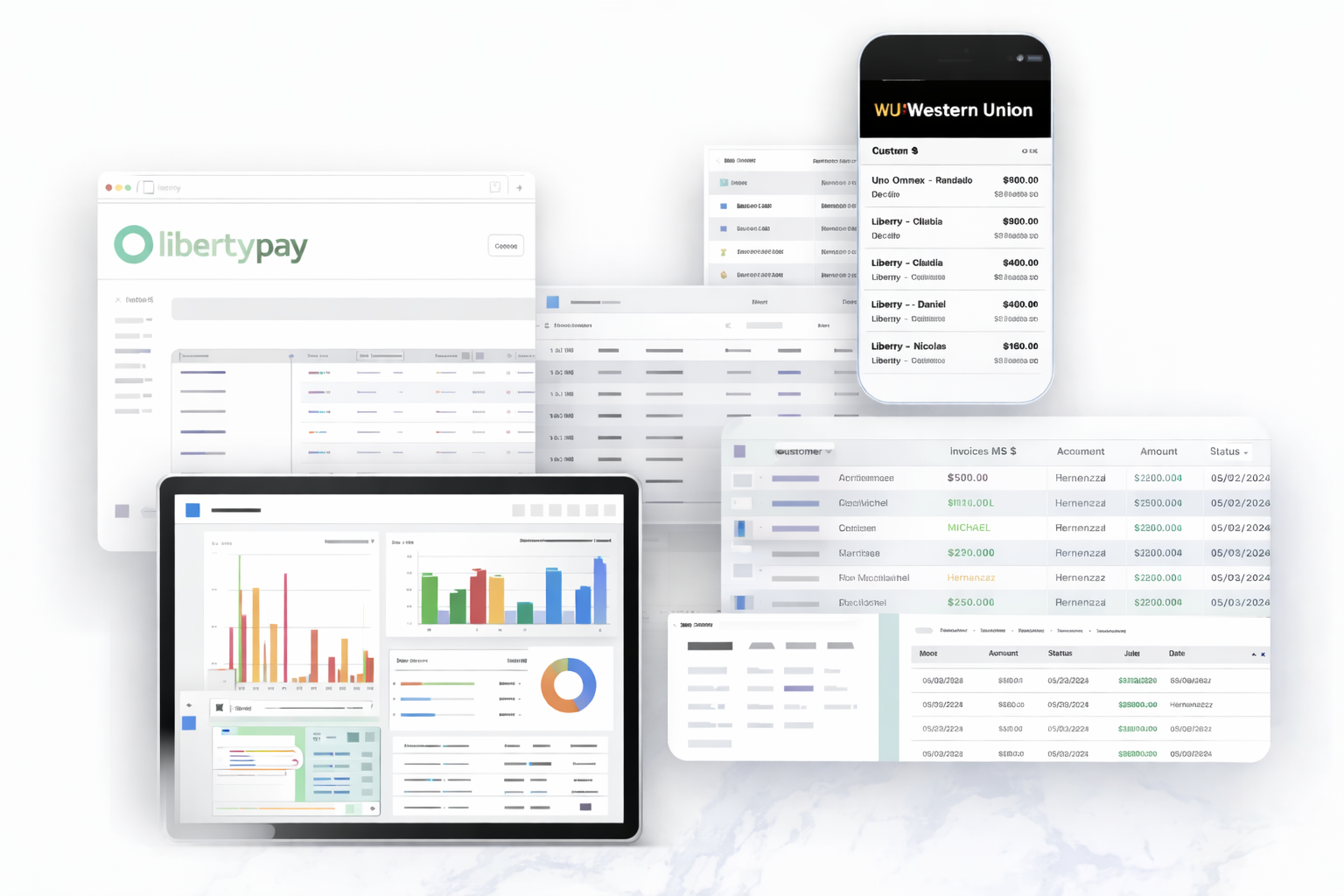 Dashboard showing fragmented money transfer data across providers and customer transactions
