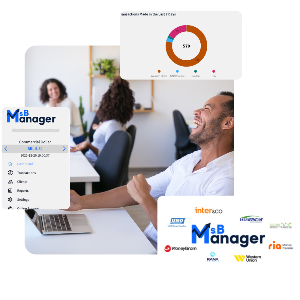MsB Manager dashboard showing transaction distribution by provider with logos of major money transfer companies